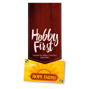 hobby first