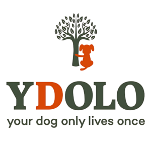 ydolo