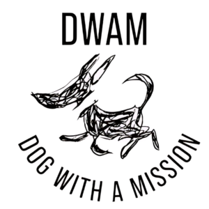 dwam dog with a mission